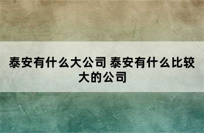 泰安有什么大公司 泰安有什么比较大的公司